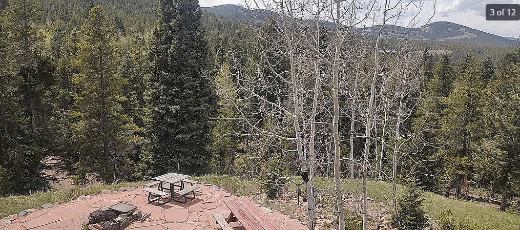 8774 Spring Dr, Conifer, CO 80433, USA, 2 bds / 2 ba / 1865 sqft