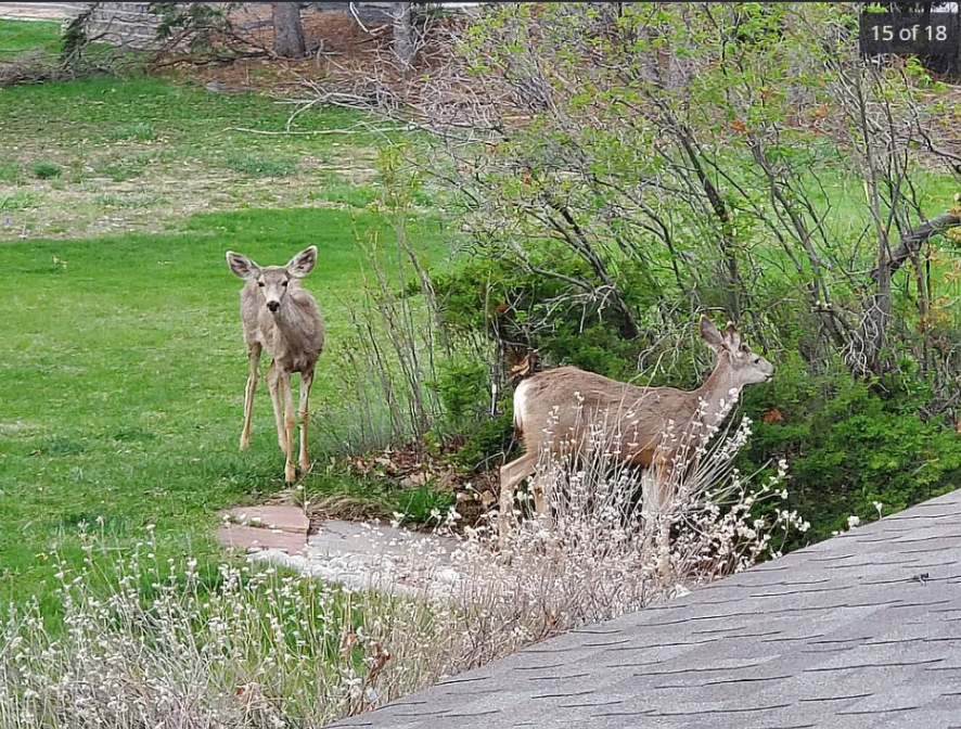 1732 S Taft Hill Rd, Fort Collins, CO 80526, USA