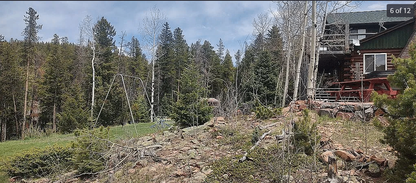 8774 Spring Dr, Conifer, CO 80433, USA, 2 bds / 2 ba / 1865 sqft