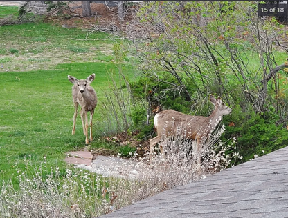 1732 S Taft Hill Rd, Fort Collins, CO 80526, USA